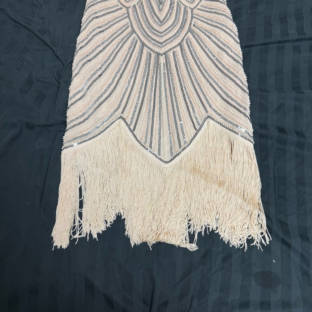 1920s Vintage-Inspired Beige Fringe Sequin Dress - Picture 4 of 8